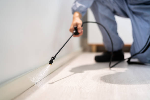 Licensed Pest Control service in Dryden, MI - Nex Pest Control