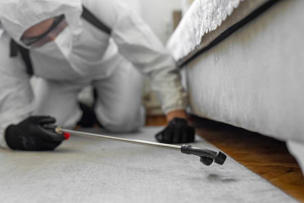 Professional Pest Control technician working in Dryden, MI