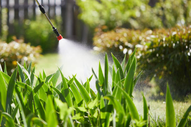 24/7 Emergency Pest Control experts in Dryden, MI
