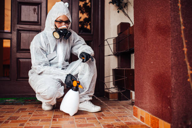 Reliable Pest Control contractor in Dryden, MI by Nex Pest Control