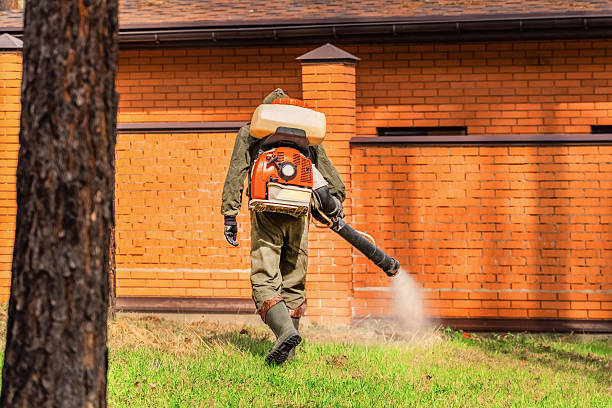 Top rated local Pest Control specialists in Dryden, MI